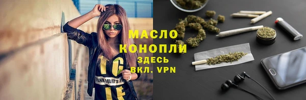 прущие грибы Жердевка